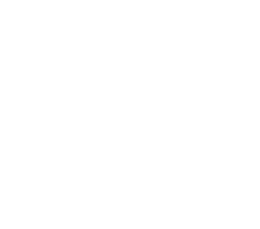 Vector Resolver